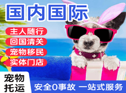 南京禄口机场快运国际宠物托运 【国